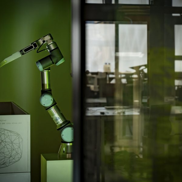 Olea, the value revelation de Solimán López