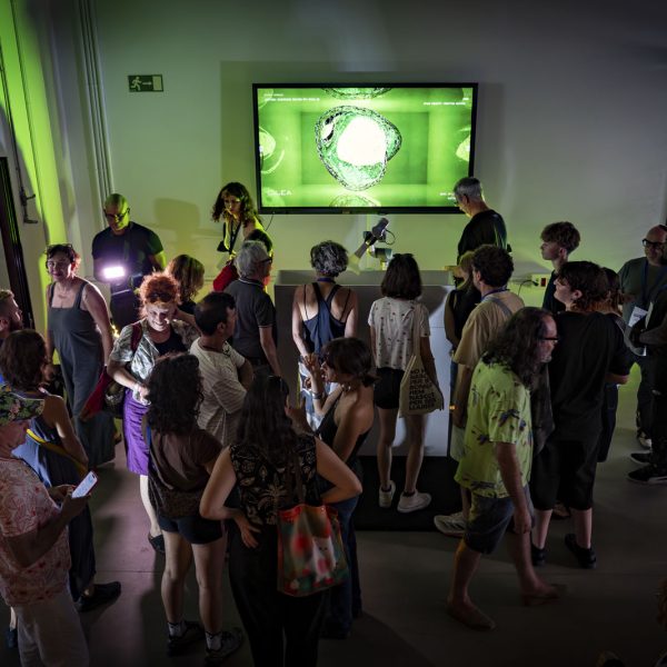 Olea, the value revelation de Solimán López