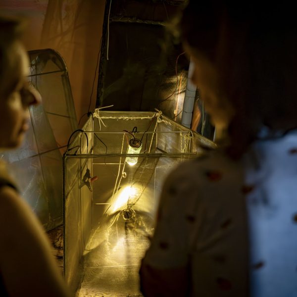 Atrapa-sons de Núria Rovira