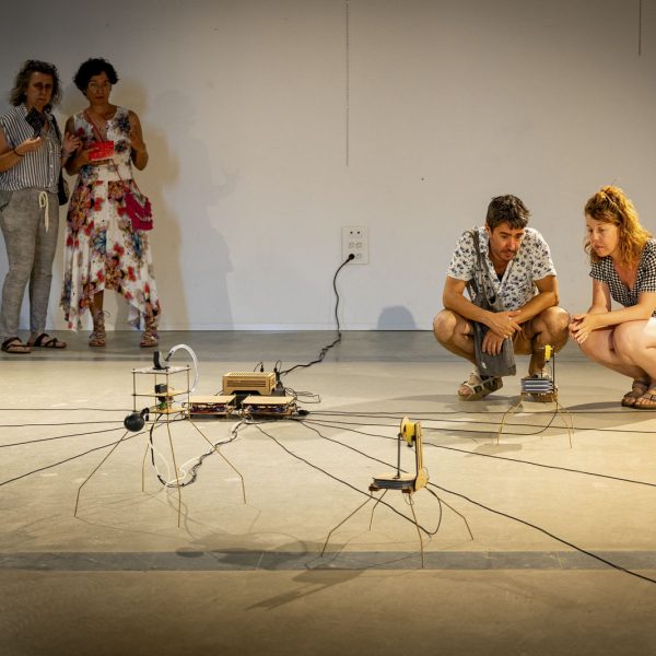 “Organismo / Organscape” de Xoán-Xil López