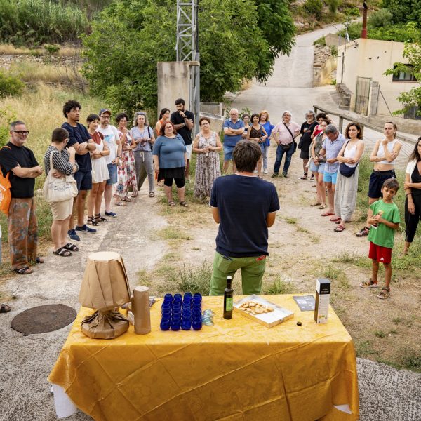 Tast d'oli Molí de la Creu
