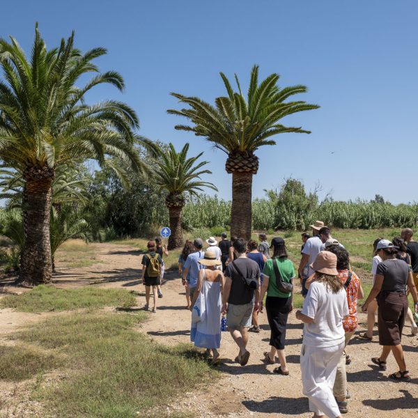 João de Nóbrega Pupo