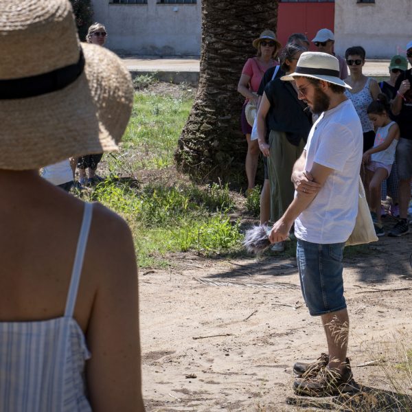 João de Nóbrega Pupo