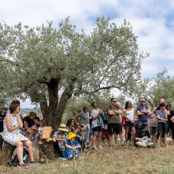 Finca del Pla La Bassa - Espai Eufònic