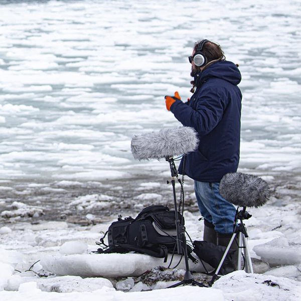 ROBIN SERVANT - Eufònic 2026